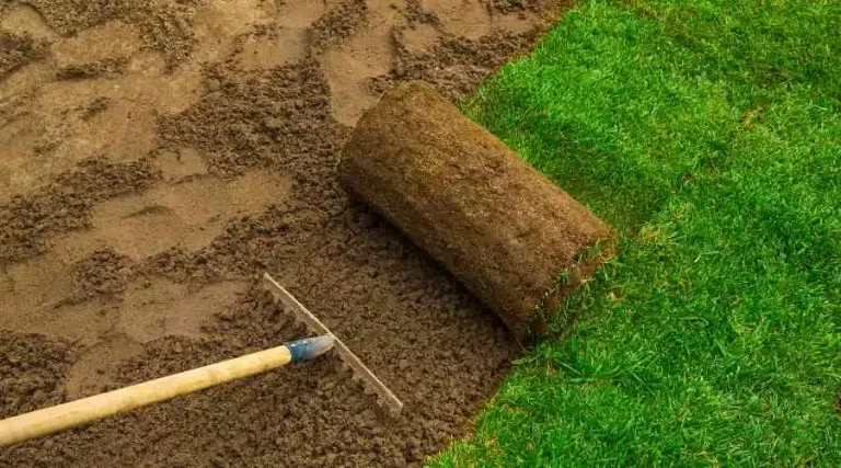 The Impact of Soil on Your Lawn