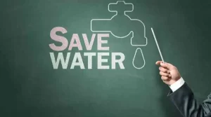 Save Water And Your Trees This Summer With Proper Mulching