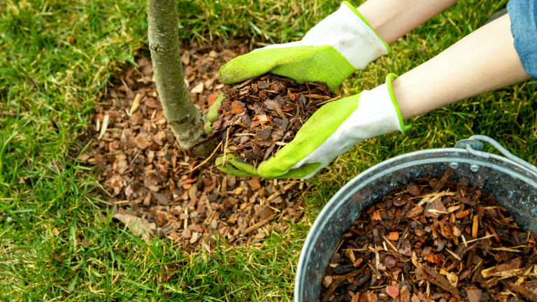 Over-mulching