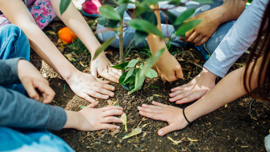 Planting Tree